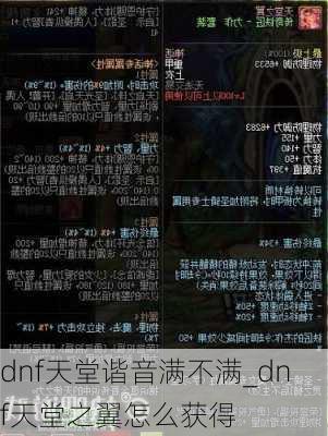 dnf天堂谐音满不满_dnf天堂之翼怎么获得