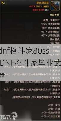 dnf格斗家80ss,DNF格斗家毕业武器