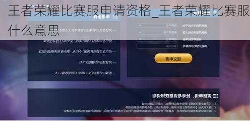 王者荣耀比赛服申请资格_王者荣耀比赛服什么意思