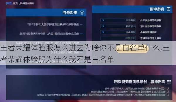 王者荣耀体验服怎么进去为啥你不是白名单什么,王者荣耀体验服为什么我不是白名单