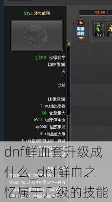 dnf鲜血套升级成什么_dnf鲜血之忆属于几级的技能