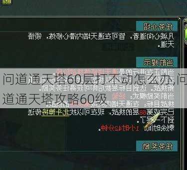 问道通天塔60层打不动怎么办,问道通天塔攻略60级