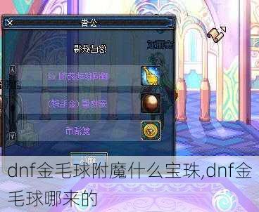 dnf金毛球附魔什么宝珠,dnf金毛球哪来的