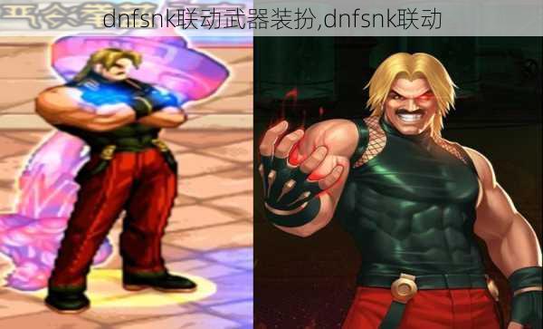 dnfsnk联动武器装扮,dnfsnk联动