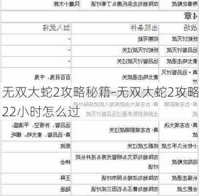 无双大蛇2攻略秘籍-无双大蛇2攻略22小时怎么过