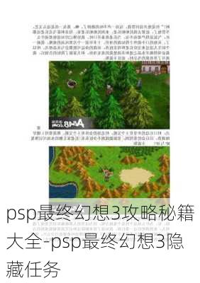 psp最终幻想3攻略秘籍大全-psp最终幻想3隐藏任务