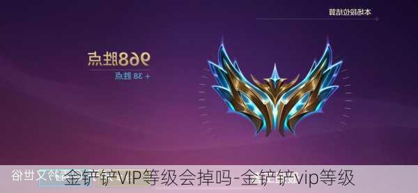 金铲铲VIP等级会掉吗-金铲铲vip等级