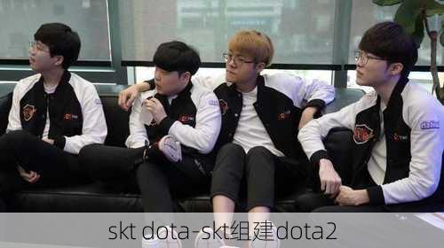 skt dota-skt组建dota2