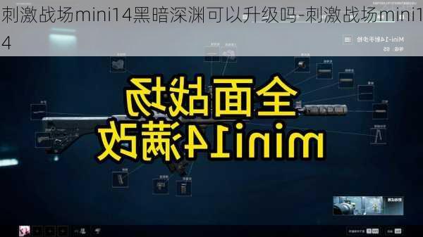 刺激战场mini14黑暗深渊可以升级吗-刺激战场mini14